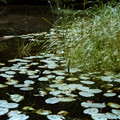 raw0001-positive-12.jpg