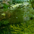 raw0001-positive-13.jpg