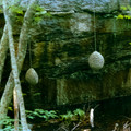 raw0001-positive-14.jpg