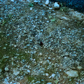 raw0001-positive-15.jpg
