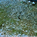 raw0001-positive-16.jpg