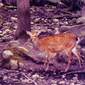 raw0025-positive-13.jpg