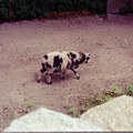 raw0025-positive-16.jpg