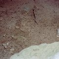 raw0025-positive-17.jpg