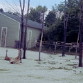 raw0026-positive-10.jpg