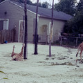 raw0026-positive-11.jpg