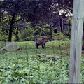 raw0026-positive-7.jpg