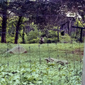 raw0026-positive-8.jpg