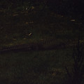 raw0040-positive.jpg