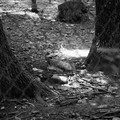 raw0001-positive-18.jpg