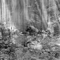 raw0001-positive-6.jpg
